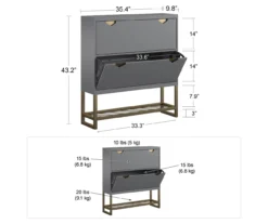 CosmoLiving Brielle Entryway Shoe Storage Cabinet 23 CosmoLiving Brielle Entryway Shoe Storage Cabinet -Biglots Sales 810589009 2