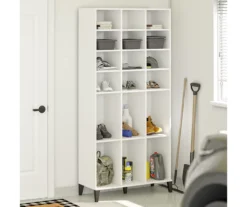 Systembuild Amplus Shoe Storage Cabinet -Biglots Sales 810591240 5