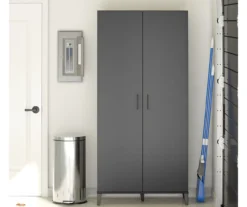 Systembuild Amplus 2-Door Storage Cabinet -Biglots Sales 810591241 5