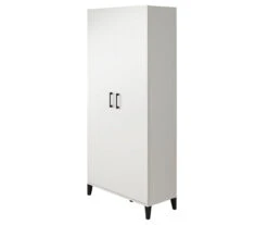 Systembuild Amplus 2-Door Storage Cabinet -Biglots Sales 810591242 1