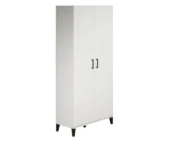 Systembuild Amplus 2-Door Storage Cabinet -Biglots Sales 810591242 2