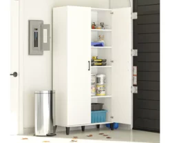 Systembuild Amplus 2-Door Storage Cabinet -Biglots Sales 810591242 4