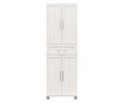 System Build Evolution Camberly Storage Cabinet -Biglots Sales 810597739 3