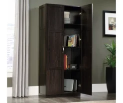 Sauder 2-Door Storage Cabinet -Biglots Sales 810610207 A0 1