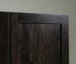 Sauder 2-Door Storage Cabinet -Biglots Sales 810610207 A0 3