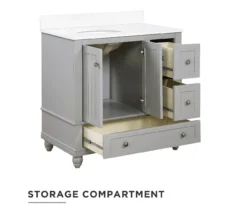 DHP Atwater Living Jazmyn Bathroom Vanity With White Sink -Biglots Sales 810610489 A0 2